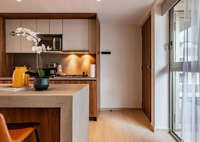 Spacious Condesa Near Cafes And Parks Appartement *